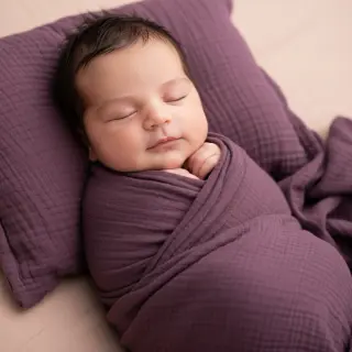 Double gauze/muslin aubergine