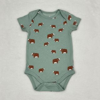 Jersey Bears dark mint melange
