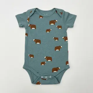 Jersey Bears smoke blue melange