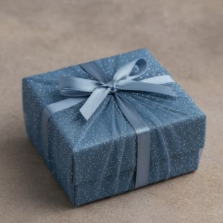 Tulle netting ROYAL SPARKLE jeans silver