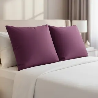 Cotton poplin aubergine