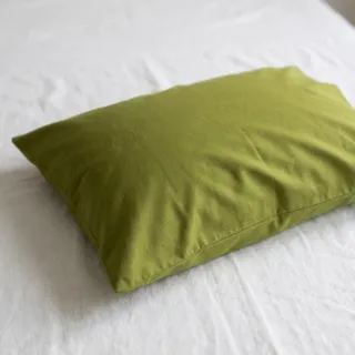 Cotton poplin green