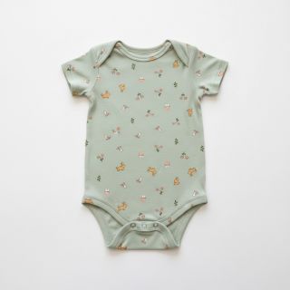 Jersey Bunnies sage ORGANIC