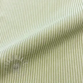 Decoration fabric DOBBY Colored stripe light green