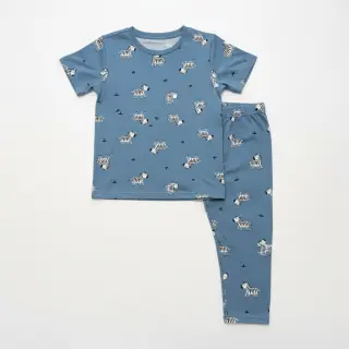 Cotton fabric FLANNEL Zebras blue