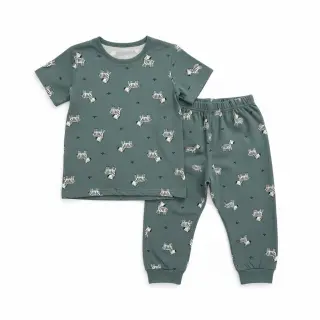 Cotton fabric FLANNEL Zebras green