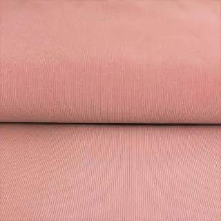Fine corduroy blush