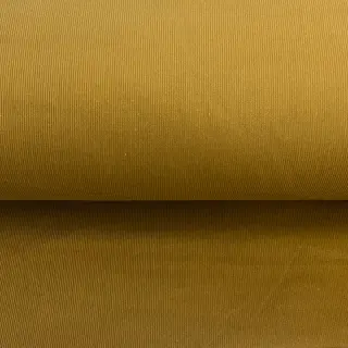 Fine corduroy hazel
