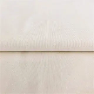 Fine corduroy ecru