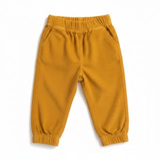 Fine corduroy ochre