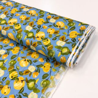 Viscose RAYON POPLIN Fruity design A