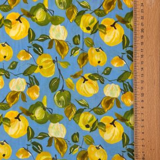 Viscose RAYON POPLIN Fruity design A