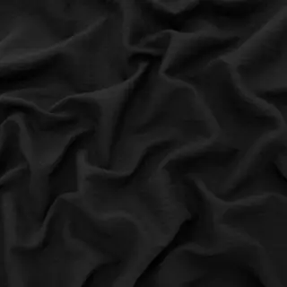 Papillon black