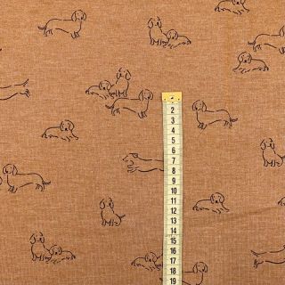 Jogging sweat Dogs camel melange