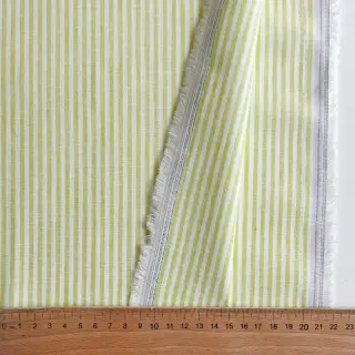 Linen cotton Stripe lime