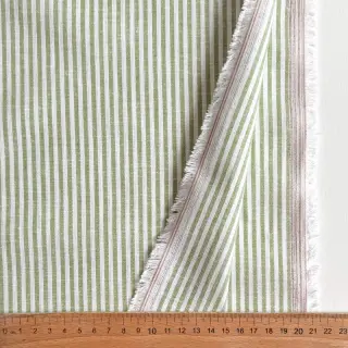 Linen cotton Stripe green