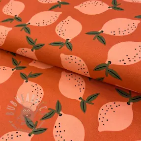 Decoration fabric Fruits design F