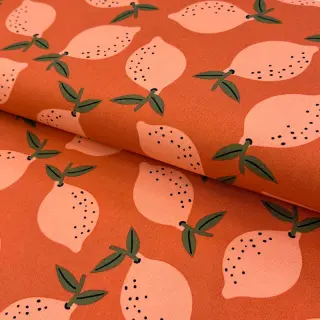 Decoration fabric Fruits design F