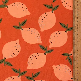 Decoration fabric Fruits design F