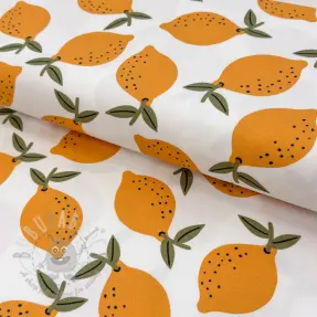 Decoration fabric Fruits design E