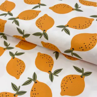 Decoration fabric Fruits design E