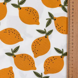 Decoration fabric Fruits design E