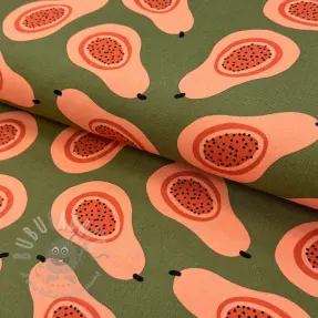 Decoration fabric Fruits design B
