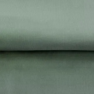Fine corduroy sage