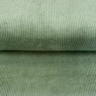 Corduroy basil