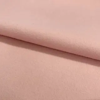 SOFTCOAT rose