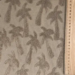 Terry Palmtrees sand