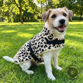Coat fabric TEDDY JACQUARD Animal skin black