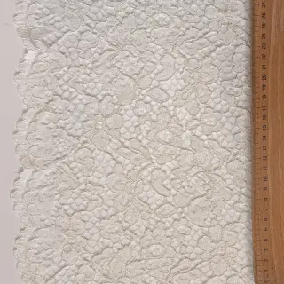 Lace Scallop off white