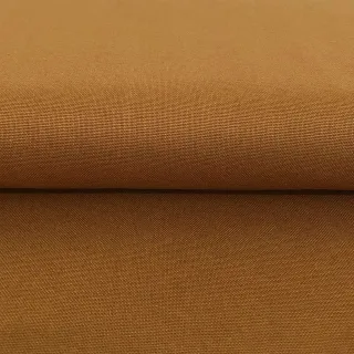CANVAS mustard