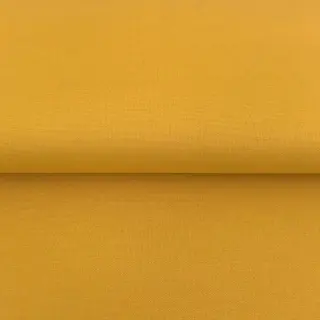 CANVAS yellow