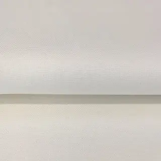 CANVAS ecru