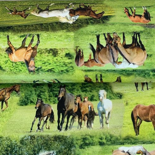 Decoration fabric Horses in Meadow digital print