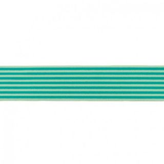 Elastic 4 cm Stripe apple