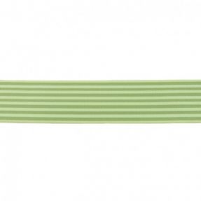 Elastic 4 cm Stripe lime