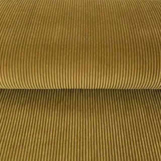 Corduroy curry