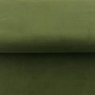 Fine corduroy forest