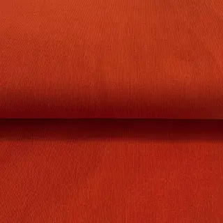 Fine corduroy terra