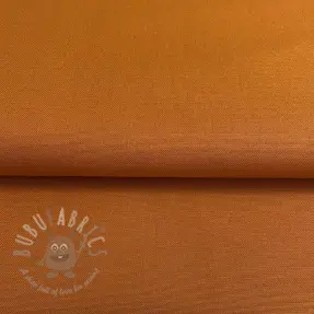 CANVAS rust