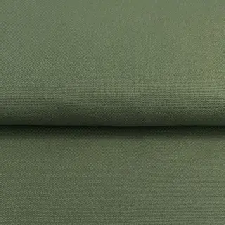 CANVAS pickle