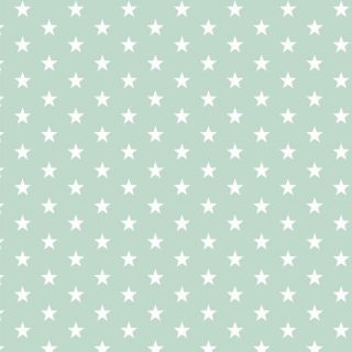 Cotton fabric Petit stars mint