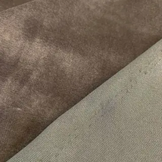 Nicky taupe