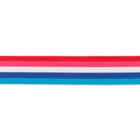 Elastic 4 cm Multistripe 6