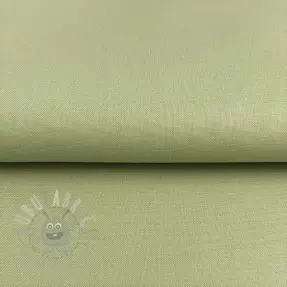 CANVAS dark mint