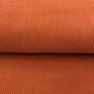 Corduroy orange