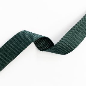 Webbing 2,5 cm bottle green